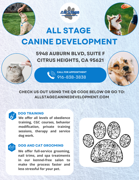 All Stage Canine Development